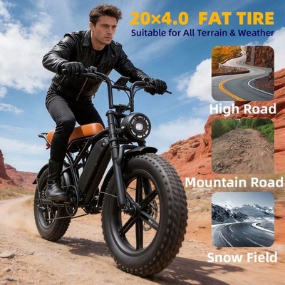 LIZIFLY G20 E-Bike 500W Elektrofahrrad 20'' Offroad Tire 15.6AH 45KM/H Bis 60km