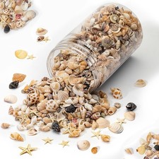1200 PCS Natural Seashells, 5-20mm, light, white, dark, brown, gray, red