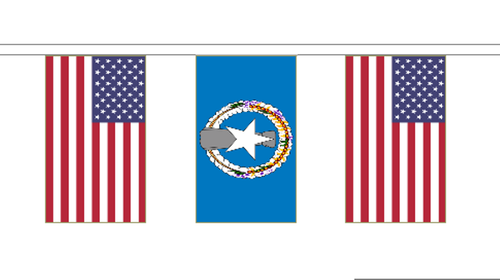 United States US Territories Friendship Flag Polyester Bunting - Premium Quality - Picture 76 of 170