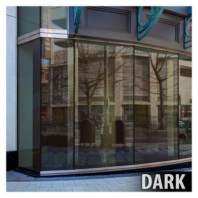 BDF PRBR Window Film Heat Control and Daytime Privacy Bronze out, Silver in