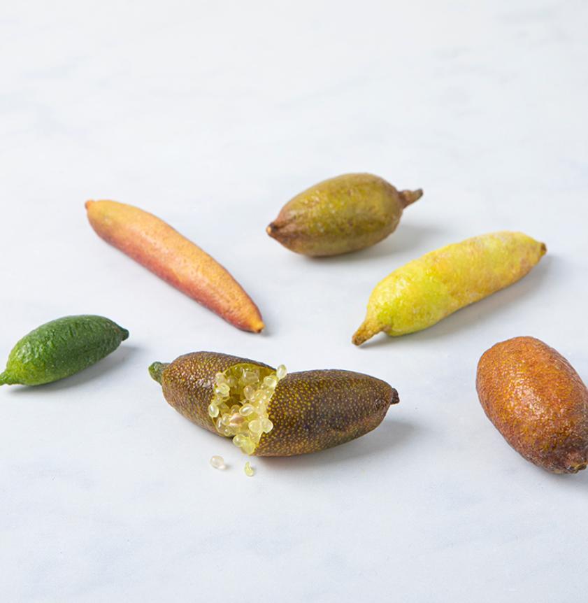 Citrus Cavia Fresh Organic Finger Limes eBay