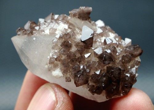 29.5g New find beautiful Rare Scheelite Mineral Specimens/China - Picture 3 of 10