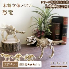Wooden 3D Puzzle Dinosaur Model Kit, 3 Types, Craft Kit for Adults, Kids, and