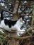 uneviedechat