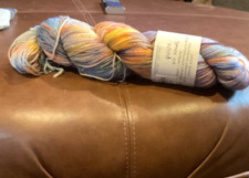 Hand Dyed Yarn Brediculous Addy Superwash Merino/Nylon Yarn  Peace of Mind  