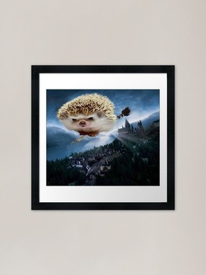 Realistischer fliegender Igel auf Magie gerahmtes Wandbild Poster Leinwanddruck Bild