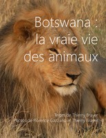 Thierry Brayer (U. A.) | Botswana : La Vraie Vie Des Animaux | Taschenbuch