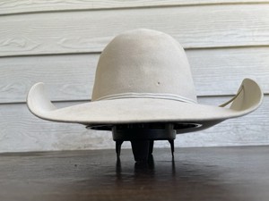 Bailey Beaver Hat | eBay