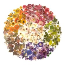 Pressed Flower Stickers Set, 270PCS Dried Flowers Waterproof Flower Language