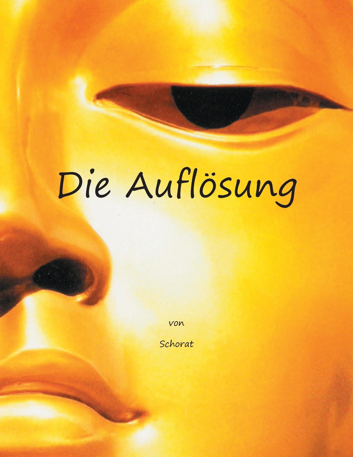 Thumbnail - Wolfgang Schorat | Die Auflösung | Taschenbuch | Deutsch (2014) |