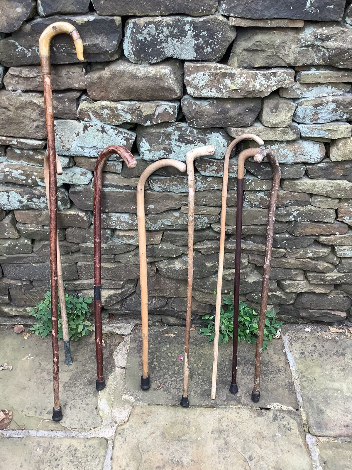 EIGHT VINTAGE WALKING STICKS eBay