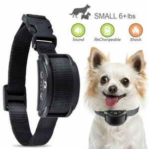 pet shock collar