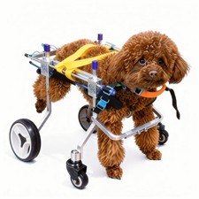Four-Wheeled Adjustable Dog Wheelchair XXS