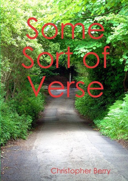 Christopher Berry | Some Sort Of Verse | Taschenbuch | Englisch (2014)-image