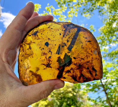 A101 BU244g BIg 243gm beautiful Burmese Amber Gemstone botanicals Burmite 99mya