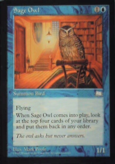 Sage Owl - Weatherlight: #52, Magic: The Gathering Nm R107