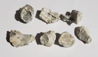 Lot Of 7 Dug Civil War 💥 🇺🇸 💣 Fired Hard Impact  Bullets Gettysburg PA
