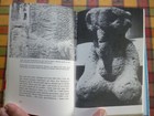 Bild 12 von 12