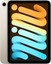 Bild 1 von 1
