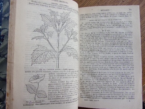 Agriculture. Le nouveau jardinier. 500 dessins 1877. 2/2vols - Picture 4 of 11