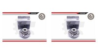 Esen SKV 2X Radnabe Radlagersatz Hinten FüR Nissan Almera I Hatchback N15 N14