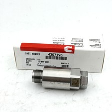 Pressure Relief Valve Common 4307195 Fits for...
