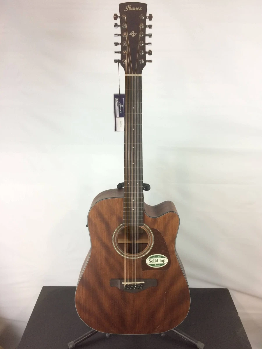Ibanez 12 string acoustic electric deals