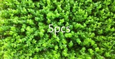 TECHTONGDA®5PCS 23.6X15.7" Artificial Wall Mat Plant Eucalyptus Encryption Grass