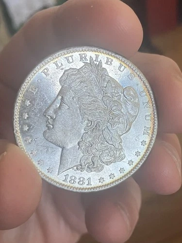 1881-O Morgan Silver Dollar $1 - BU - PL Fields