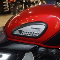 Labelbike Seitenschutz Aufkleber FüR Triumph Scrambler 400 X Tank