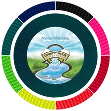 Country Brook Design  3/4 Inch Teal Reflective Nylon Webbing, 20 Yards