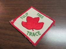 Tulip Tree Trace Patch, worn       ig