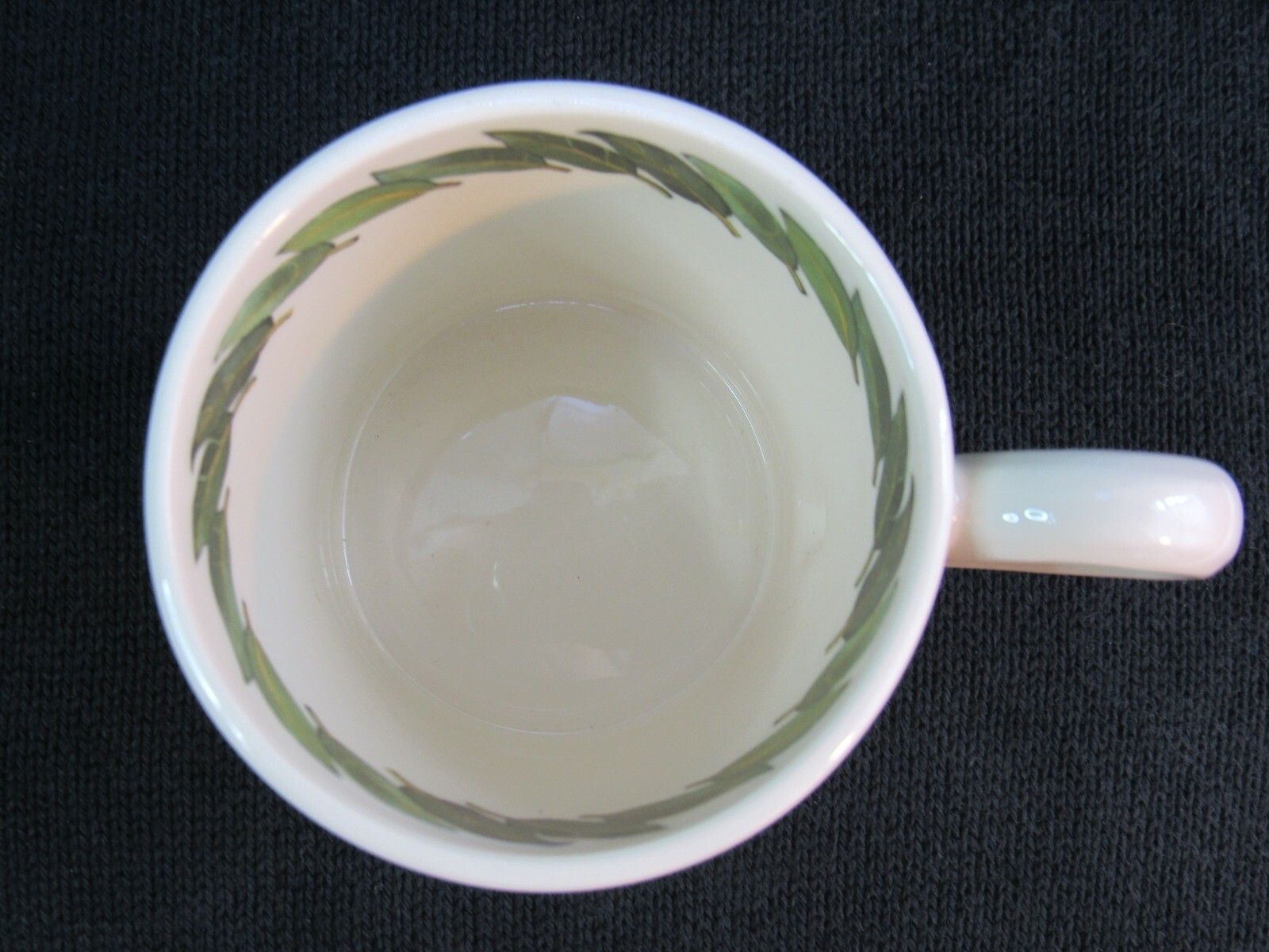 EMMA BRIDGEWATER Pheasant Birds & Leaves 1/2 pint MUG Autumn Birds NEW