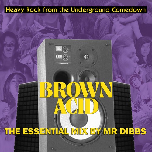 Various Artists - Brown Acid "The Essential Mix" by Mr. Dibbs (Various Artists)
