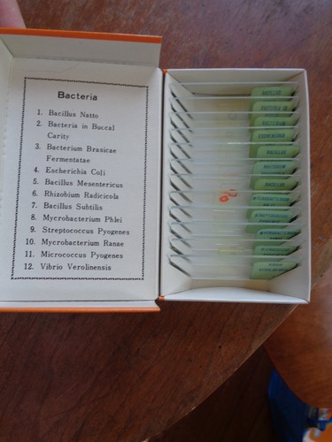 Set 5 vetrine vintage preparate microscopio scivoli insetti marini creature batteri - Foto 9 di 9