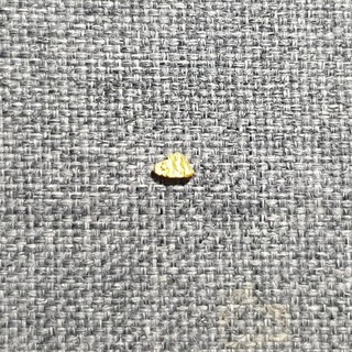 Gold Nugget Western Australian 0.14g