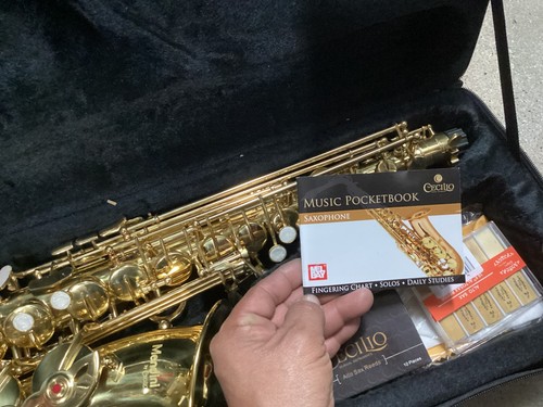 Mendini by Cecilio MASL92DPB Gold Lacquer E Flat Alto Saxophone w/ Bag 10 Piece - Picture 5 of 14