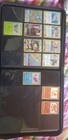 Foto 9 di 9