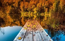 Landscape nature trees pier wooden surface forest water Custom Gaming Mat Desk