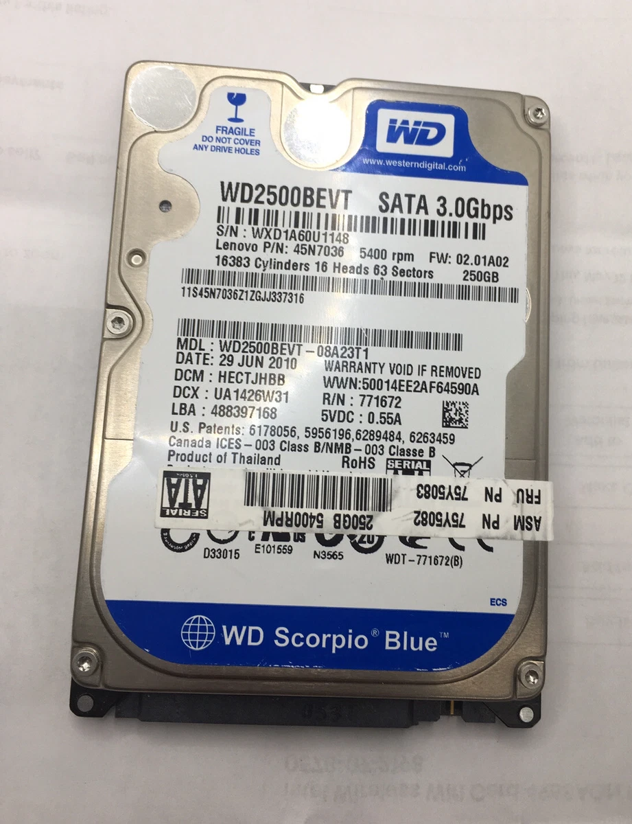 日本未発売】 Western Digital 250 GB Scorpio Blue SATA 5400 RPM MB Cache Bulk  OEM Notebook Hard Drive WD2500BEVS 並行輸入品