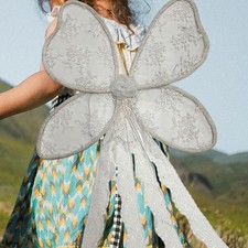 Butterfly Wing Costume for Girl Dress up