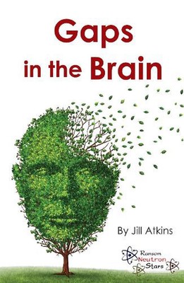 Gaps in the Brain by Jill Atkins Paperback Book