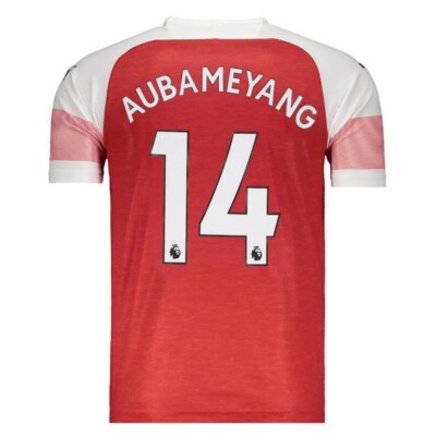 Arsenal Home Aubameyang 14 18/19 Authentic Soccer Name set