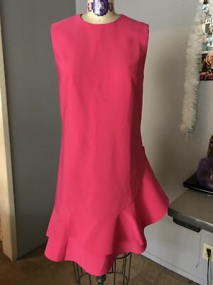 Hot Pink Sleeveless Ruffle Party Cocktail Dress Size Medium New Without Tag