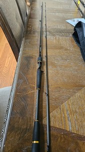 Daiwa Morethan | eBay