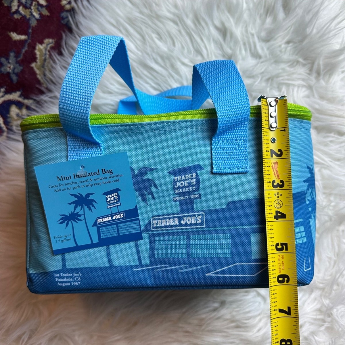 NWT Trader Joes Mini Insulated Bag Blue Green Reusable Small