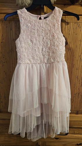 Girls Pinkand Violet Size 12 Pastel Pink Floral Dress