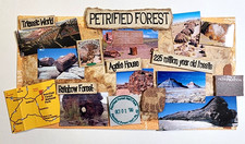 Petrified Forest Paper Piecing 3D Arizona Desert National Park Fossils Scrapbook