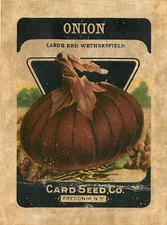 Antique Seed Packet Label Red Weathersfield Onions The Card Seed Co Fredonia NY