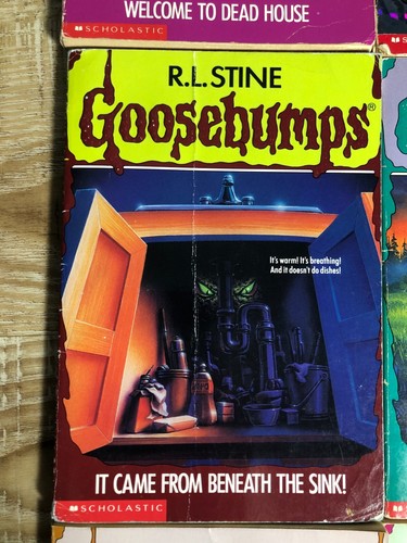 RL Stine Goosebumps Lot 11 90's #1, 8, 19, 20, 30, 33, 38, 40, 41, 58, 59 - Picture 7 of 13